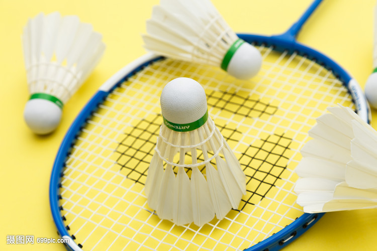 竞技的比赛 竞技的比赛