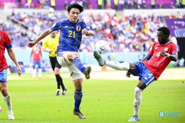 国内外知名 国内外知名