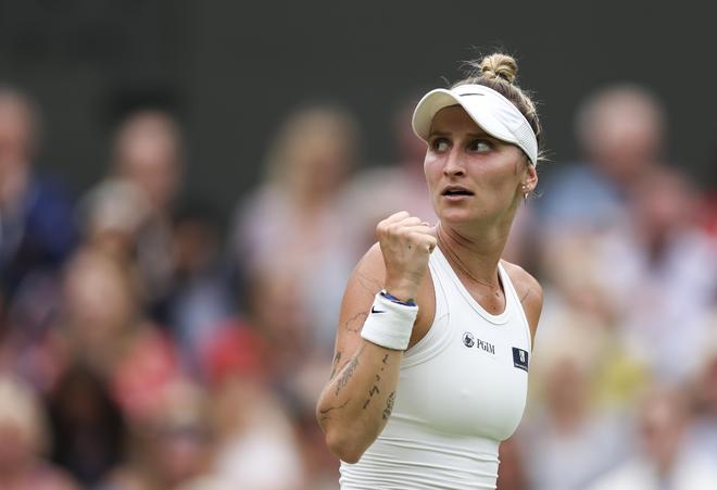 他们既可以 他们既可以